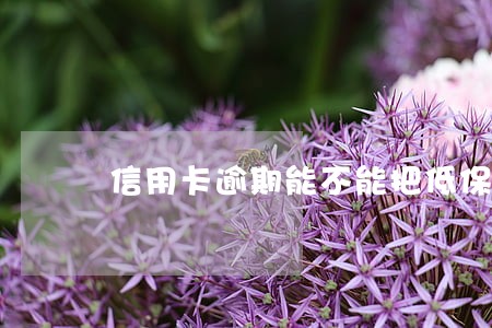 信用卡逾期能不能把低保金扣走啊 信用卡逾期能不能把低保金扣走啊