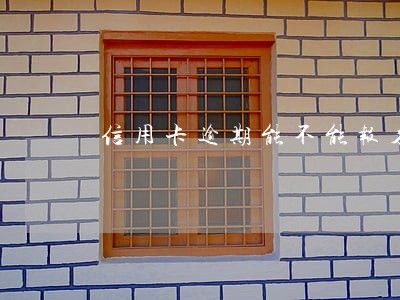 信用卡逾期能不能报名当兵 信用卡逾期能不能报名当兵