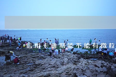 信用卡逾期能不能有微粒贷 信用卡逾期能不能有微粒贷