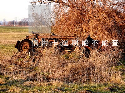 信用卡逾期能不能查