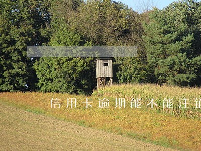信用卡逾期能不能注销储存卡