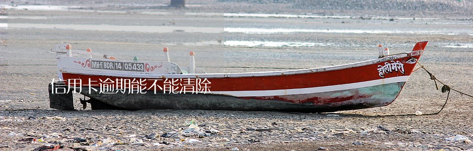 信用卡逾期能不能清除 信用卡逾期能不能清除