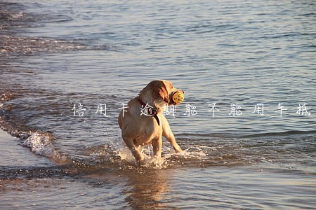 信用卡逾期能不能用车抵账 信用卡逾期能不能用车抵账