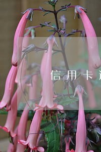 信用卡逾期能不能申请入党
