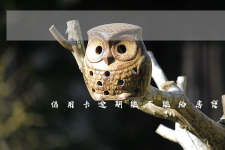 信用卡逾期能不能给房贷 信用卡逾期能不能给房贷