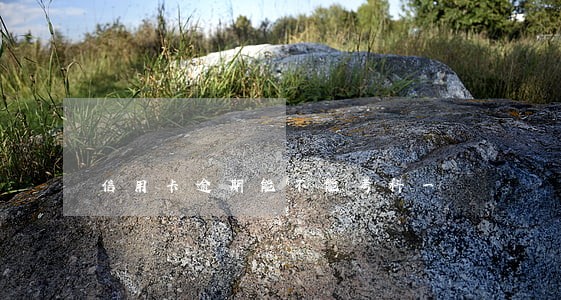信用卡逾期能不能考科一 信用卡逾期能不能考科一