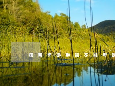 信用卡逾期能不能考驾照 信用卡逾期能不能考驾照