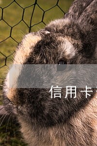信用卡逾期能不能解除 信用卡逾期能不能解除
