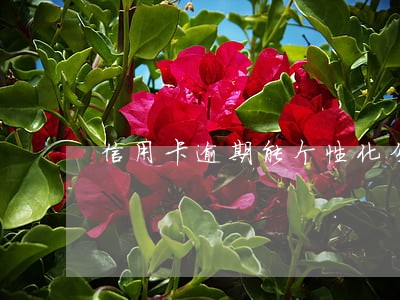 信用卡逾期能个性化分期还款吗 信用卡逾期能个性化分期还款吗