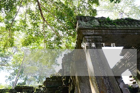 信用卡逾期能乘飞机 信用卡逾期能乘飞机