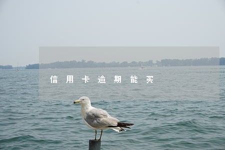 信用卡逾期能买 信用卡逾期能买