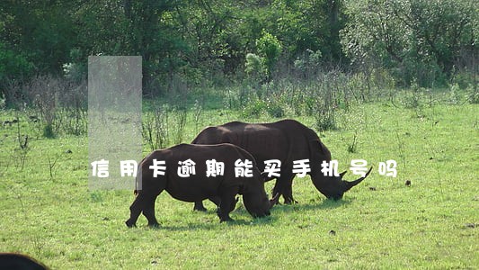 信用卡逾期能买手机号吗 信用卡逾期能买手机号吗