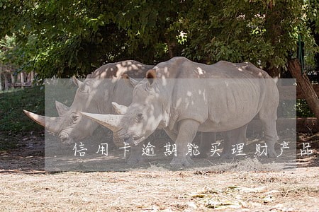 信用卡逾期能买理财产品 信用卡逾期能买理财产品