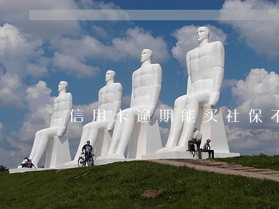 信用卡逾期能买社保不能 信用卡逾期能买社保不能