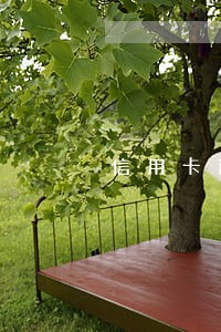 信用卡逾期能买船票吗