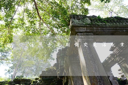 信用卡逾期能交灵活就业保险吗 信用卡逾期能交灵活就业保险吗