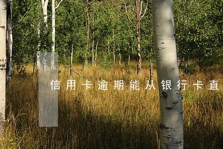 信用卡逾期能从银行卡直接划扣