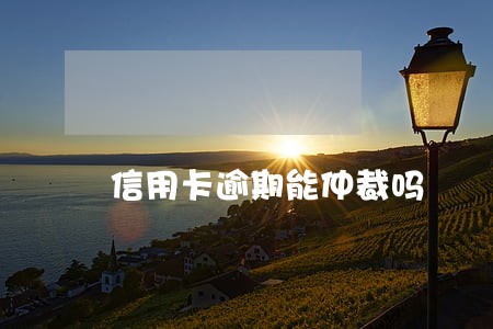 信用卡逾期能仲裁吗