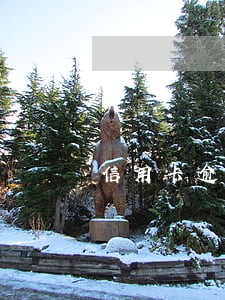 信用卡逾期能保留几年 信用卡逾期能保留几年