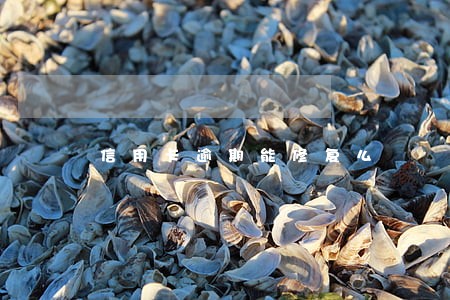 信用卡逾期能修复么 信用卡逾期能修复么