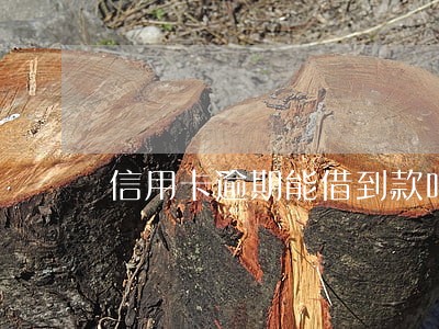 信用卡逾期能借到款吗