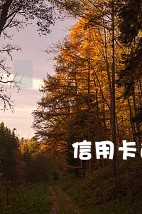 信用卡逾期能借到的网贷