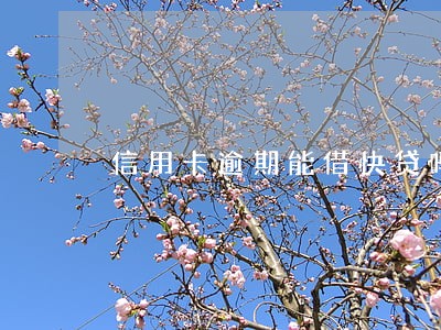 信用卡逾期能借快贷吗 信用卡逾期能借快贷吗