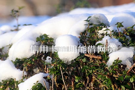 信用卡逾期能借网贷 信用卡逾期能借网贷