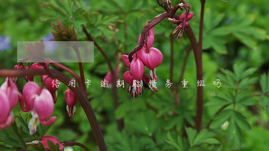 信用卡逾期能债务重组吗