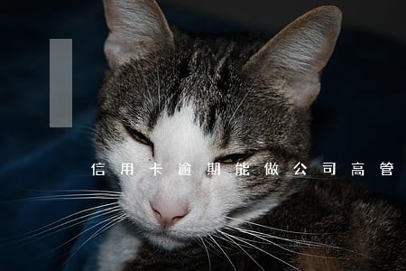信用卡逾期能做公司高管吗 信用卡逾期能做公司高管吗