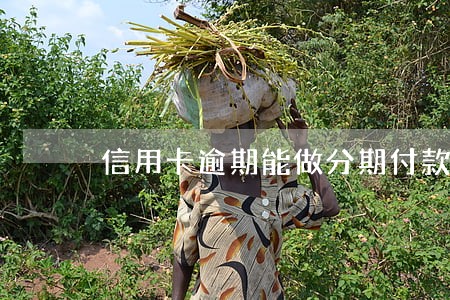 信用卡逾期能做分期付款车吗 信用卡逾期能做分期付款车吗