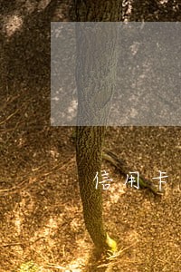 信用卡逾期能做商贷吗