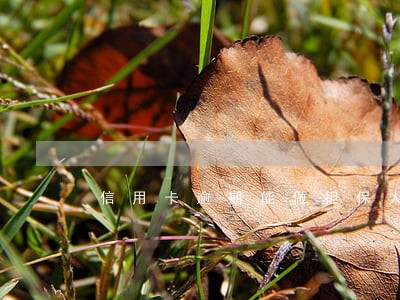 信用卡逾期能做担保人么 信用卡逾期能做担保人么