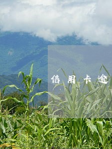 信用卡逾期能做按揭车吗 信用卡逾期能做按揭车吗