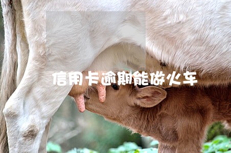 信用卡逾期能做火车 信用卡逾期能做火车