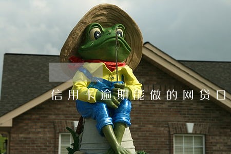 信用卡逾期能做的网贷口子 信用卡逾期能做的网贷口子
