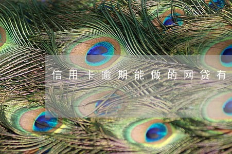 信用卡逾期能做的网贷有哪些