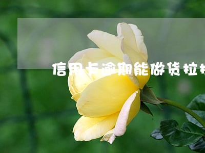信用卡逾期能做货拉拉吗