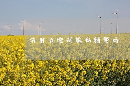 信用卡逾期能做辅警吗 信用卡逾期能做辅警吗