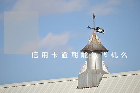信用卡逾期能做飞机么 信用卡逾期能做飞机么