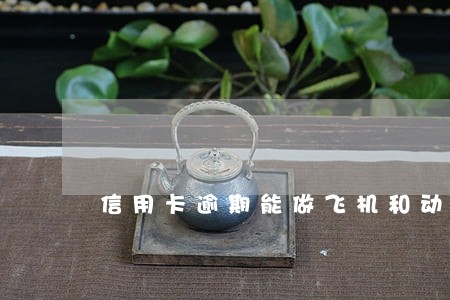 信用卡逾期能做飞机和动车吗 信用卡逾期能做飞机和动车吗