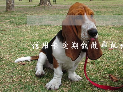 信用卡逾期能做飞机嘛 信用卡逾期能做飞机嘛