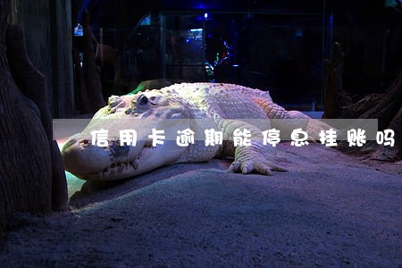 信用卡逾期能停息挂账吗 信用卡逾期能停息挂账吗