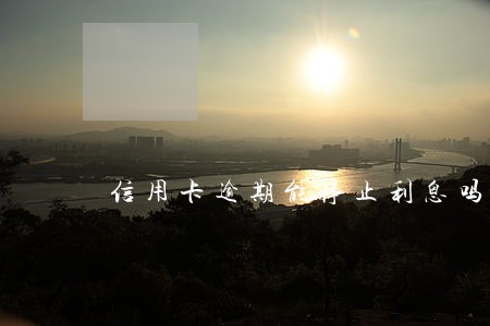 信用卡逾期能停止利息吗