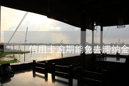 信用卡逾期能免去滞纳金吗