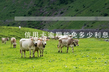 信用卡逾期能免多少利息 信用卡逾期能免多少利息