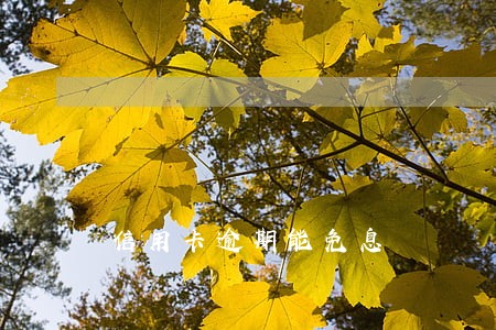 信用卡逾期能免息 信用卡逾期能免息