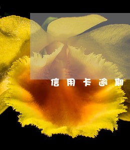 信用卡逾期能兑换外币吗 信用卡逾期能兑换外币吗