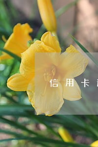 信用卡逾期能入职银行吗 信用卡逾期能入职银行吗