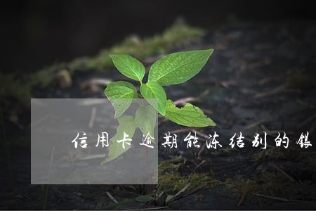 信用卡逾期能冻结别的银行的吗